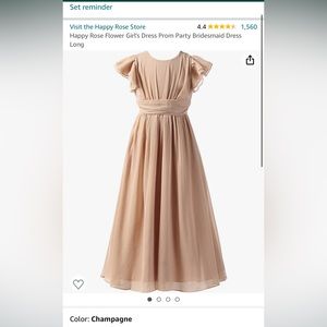 Girls size 18 flower girl dress
